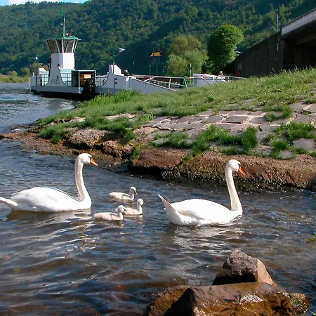 Mosel Ferienhaus Vogt