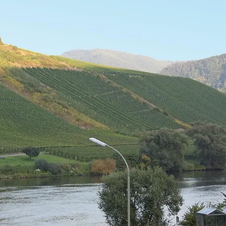 Accommodatie bij particulieren Mosel Ferienhaus Vogt Briedel