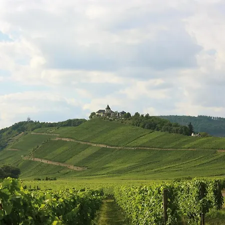 Mosel Ferienhaus Vogt Briedel
